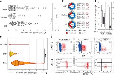 Identification of a novel cord blood NK cell subpopulation expressing functional programmed death receptor-1